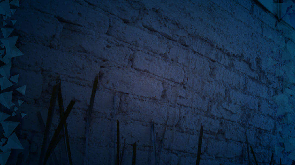 muro
